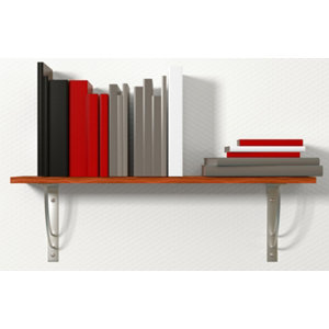 Chevilles à expansion en nylon D10mm - 300PC, idéales pour intérieur