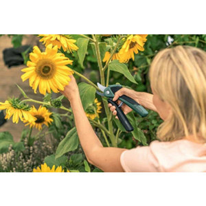 Sécateur sur batterie Easyprune