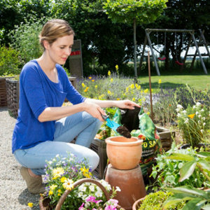 Transplantoir étroit