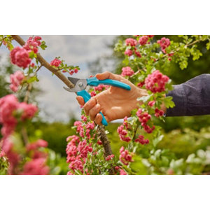 Sécateur Easycut