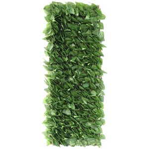Treillis feuilles extensible 1x2 m
