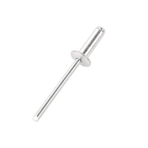 Boite de 100 rivets - 4 x 12 mm