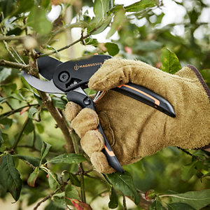 Sécateur à crémaillère