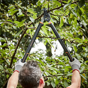 Cisaille à branches à crémaillère