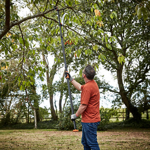 Coupe-branche + scie élagage