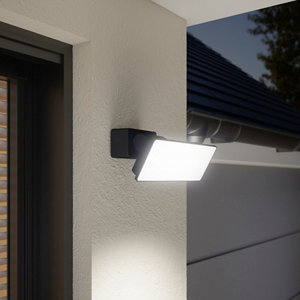 Projecteur Dircao IP65 30 W - Noir