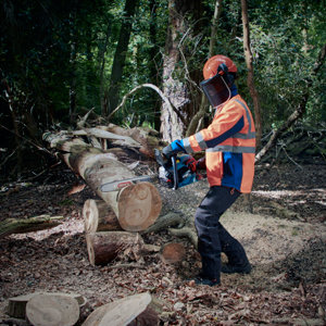 Tronçonneuse thermique 50,9 CC - 50 cm