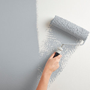Peinture mur intérieur Mat 0,75 L Gris argent