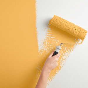 Peinture mur intérieur Mat 0,75 L Jaune d'or