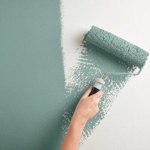 Peinture mur intérieur Mat 0,75 L Vert eucalyptus