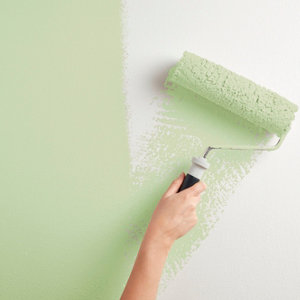 Peinture mur intérieur Satin 0,75 L Vert tilleul