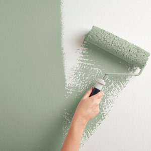 Peinture mur intérieur Satin 0,75 L Vert olive