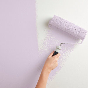 Peinture mur intérieur Satin 2,5 L Violet lilas