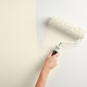Peinture mur intérieur Mat 2,5 L Blanc crème