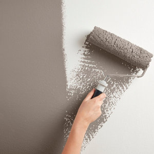 Peinture mur intérieur Mat 2,5 L Marron truffe