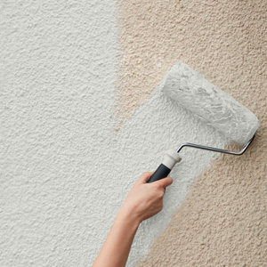 Peinture façade extrême 5 L blanc mat