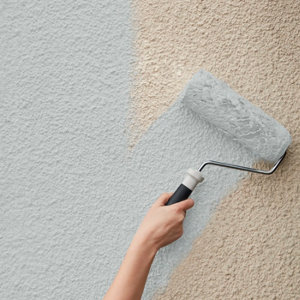 Peinture façade extrême 5 L gris clair mat