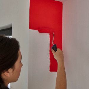 Kit peinture murs et plafonds 100 mm