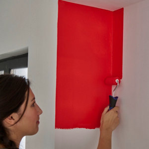 Mini rouleau murs et plafonds 65 mm