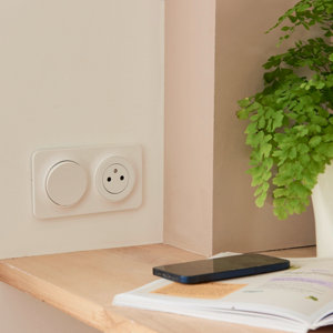 Plaque 2 Postes blanc mat "Zephyr"