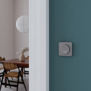 Plaque 1 poste verre gris "Zephyr"