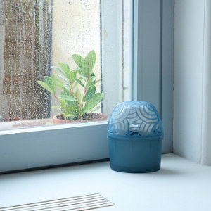 Absorbeur d'humidité