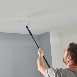 Lot rouleau mur et plafond 180mm + 2 manchons + Perche télescopique extensible