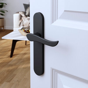 Poignée de porte "Arcles" sans trou - Noir - Entraxe adaptable 165-195 mm