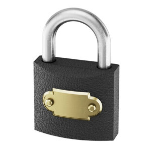 Cadenas compact gris foncé avec anse acier 59x37,5x16 mm 5 goupilles 2 clés