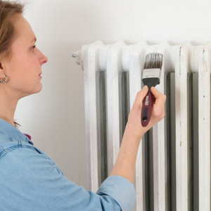 Peinture radiateur et électroménager Mat 0,75 L Blanc Pur