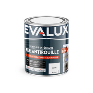 Peinture extérieure fer antirouille 0,5 L blanc brillant