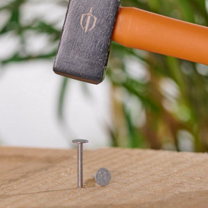 Boite de 2 kg de pointes à tête plate 3.0 x 30 mm acier galvanisé