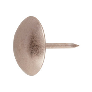 Sachet de 20 clous argent tête ronde 19 x 20 mm acier