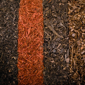 Copeaux d'écorces de conifères gros calibre couleur marron - 70L