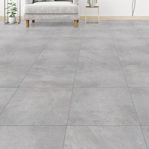 Carrelage de sol intérieur "Alberini" gris clair - l. 30 x L. 61 cm