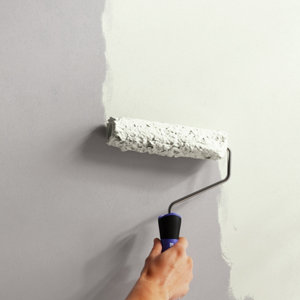 Peinture Blanc ivoire 2l5 velours 2en1