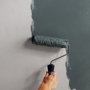 Peinture Gris charbon 0l75 velours 2en1