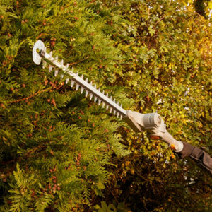 Taille-haie sur perche sans fil 18V 45 cm.