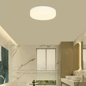 Plafonnier salle de bain 3000 K blanc