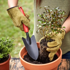 Transplantoir de jardin acier carbone manche plastique rouge 33 cm