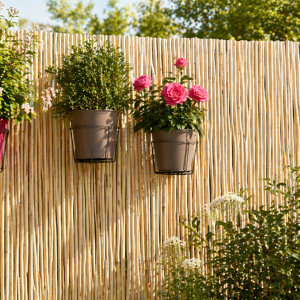 Canisse en osier couleur naturel H. 1,8 x L. 3 m