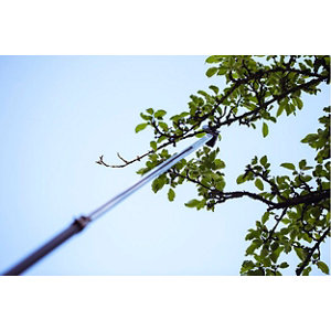 Coupe branches avec scie télescopique