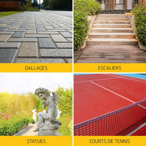 Traitement algicide- fongicide anti-dépôt vert ProSelect - bidon 5 L