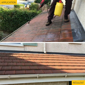 Traitement  algicide- fongicide anti-dépôts verts Sika Stop 20 L