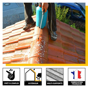 Traitement  algicide- fongicide anti-dépôts verts ProSelect - pulvérisateur 5 L